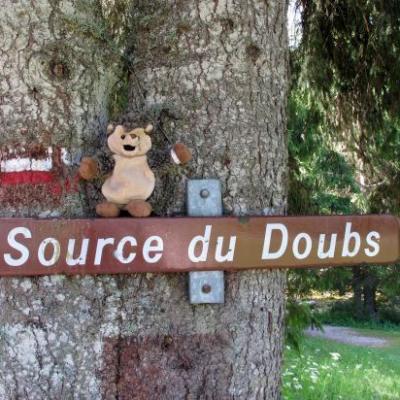 Source du Doubs (25)