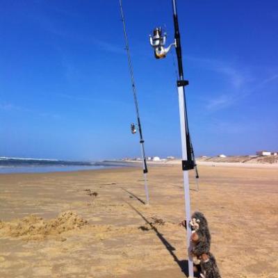 Mimizan (Landes 40)